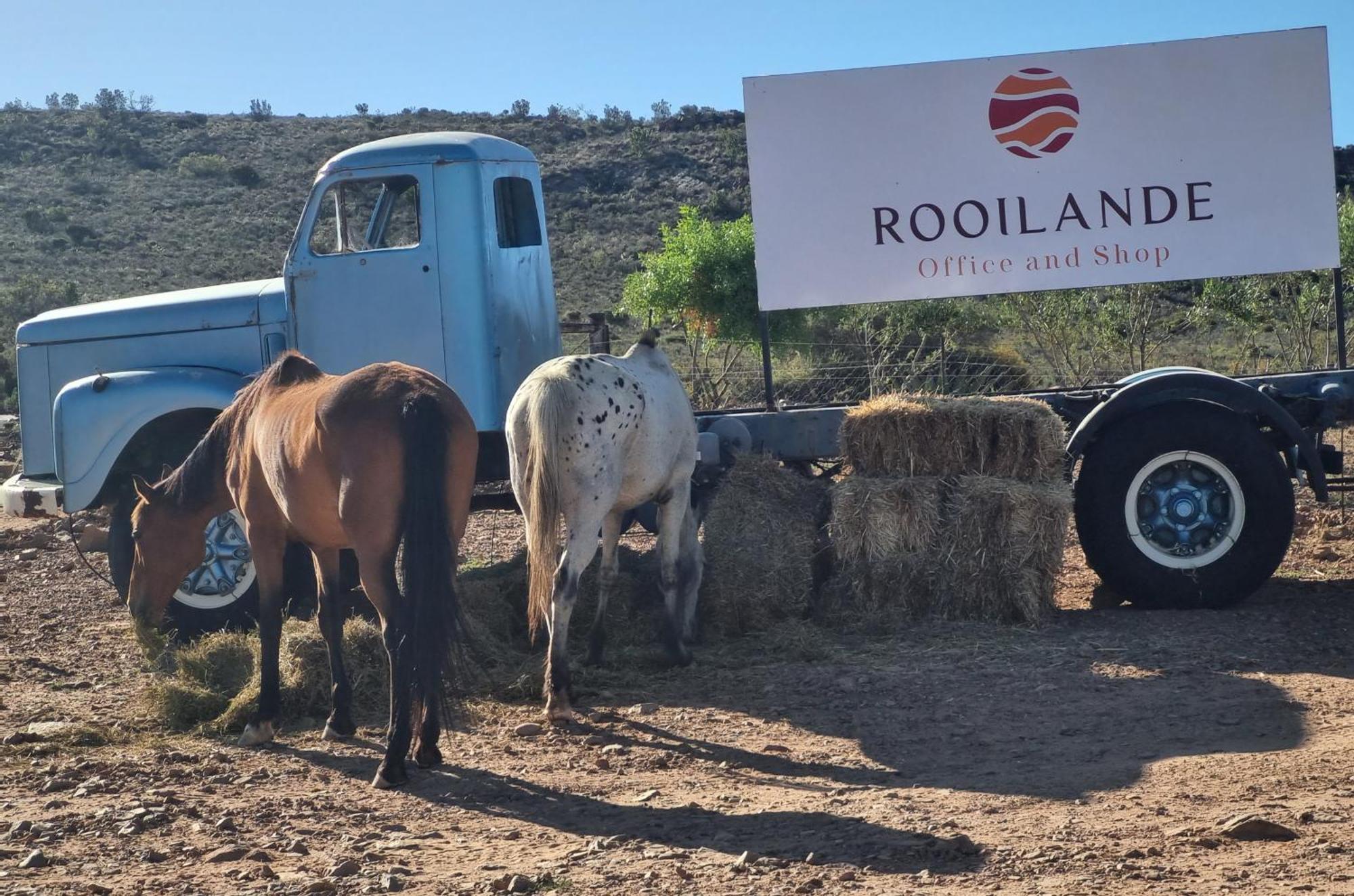 Rooilande Guest Farm Apartment Laingsburg ภายนอก รูปภาพ
